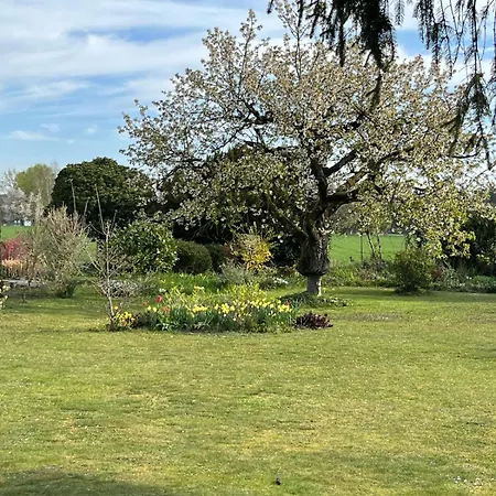 Les Du Ried * Daubensand