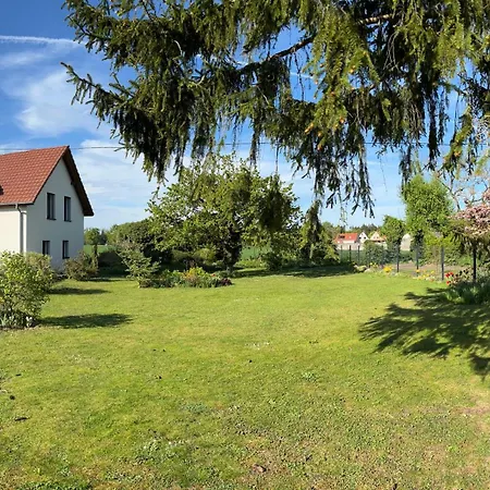 Les Du Ried * Daubensand
