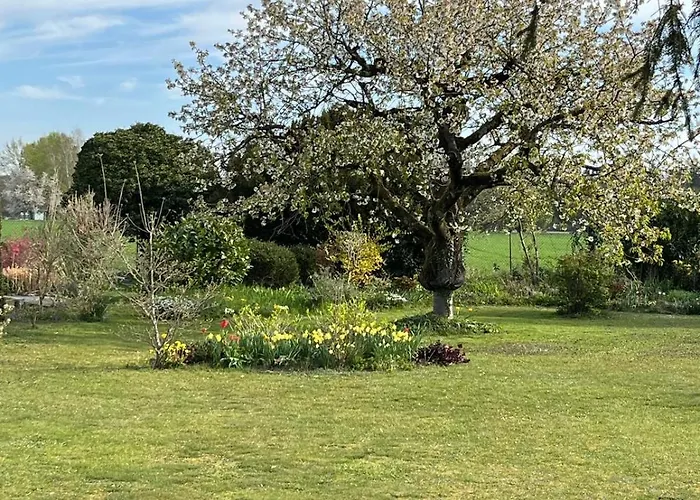 Les Du Ried * Daubensand
